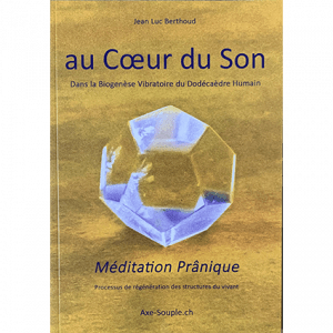 au Coeur du Son