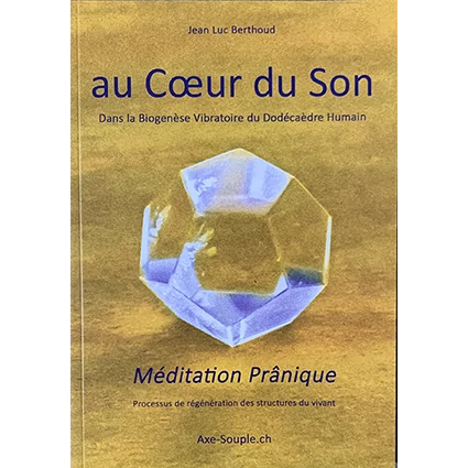 au Coeur du Son
